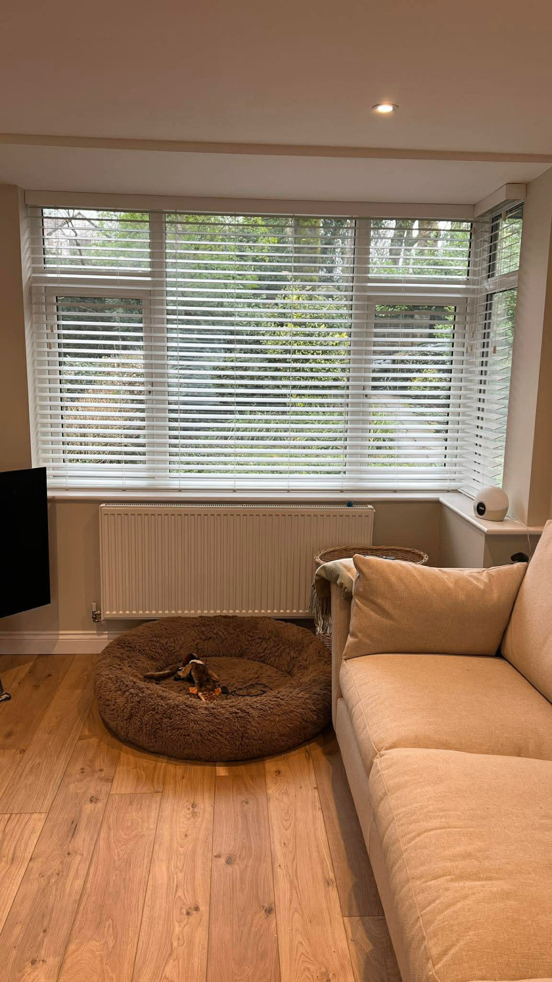 White wooden Venetian blinds fitted across a three-section bay window in a living room