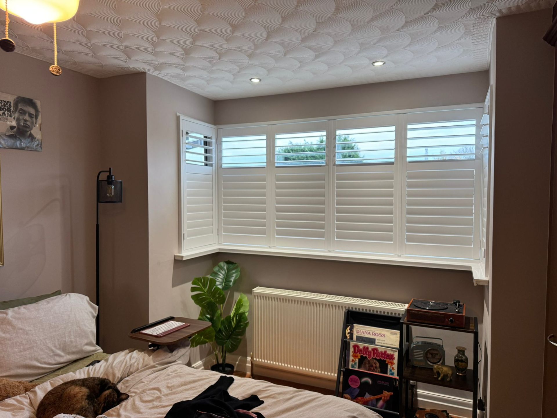 Recent finished shutter project 11