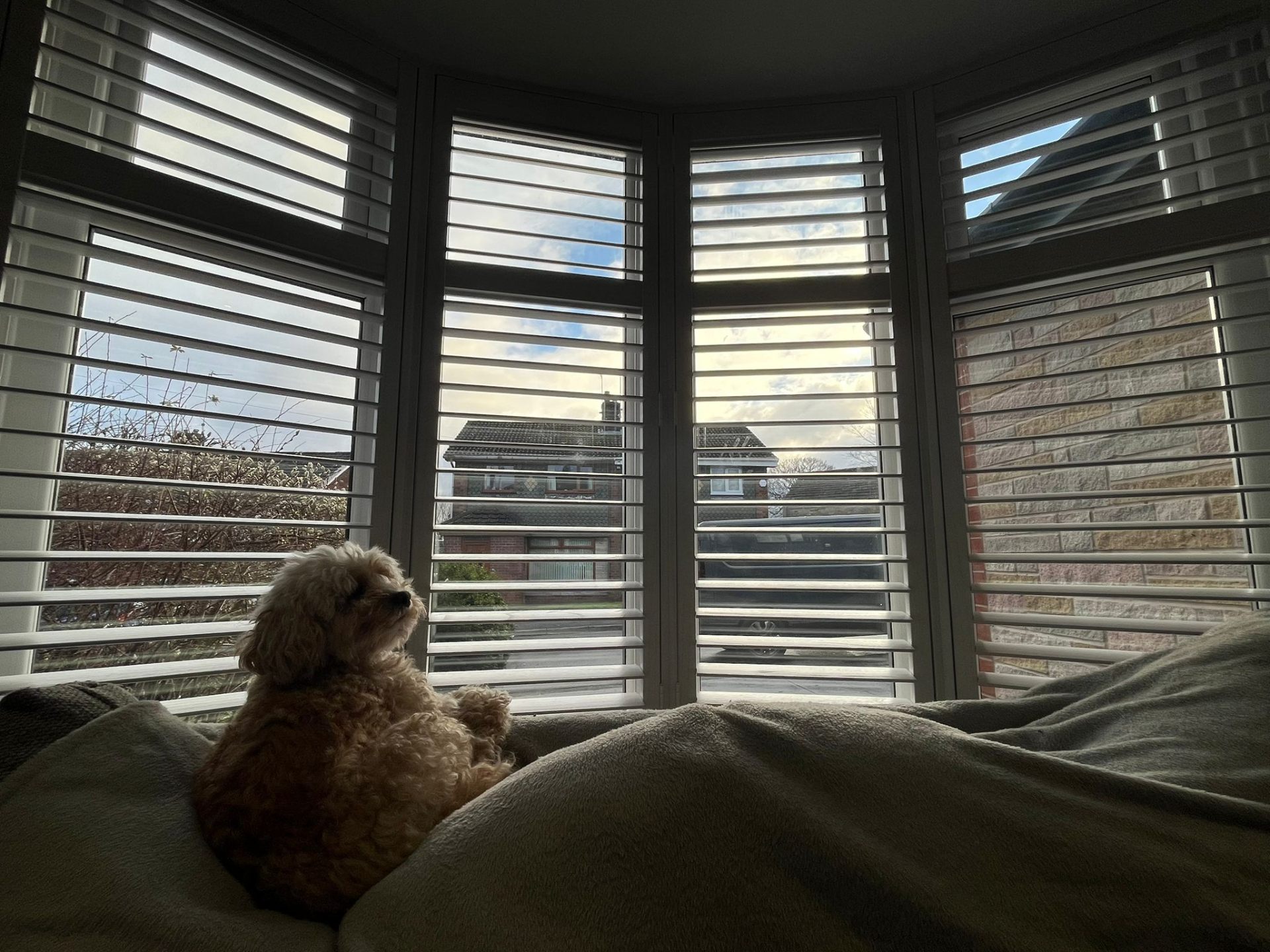 Recent finished shutter project 25